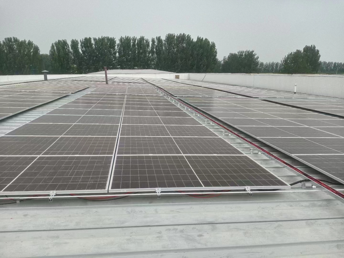 Component layout diagram